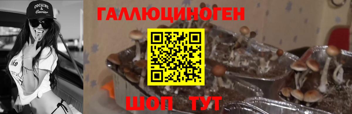 Галлюциногенные грибы прущие грибы Семёнов